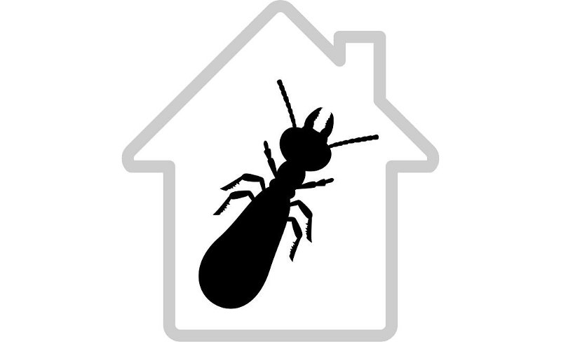bouton des diagnostics immobliers : les termites