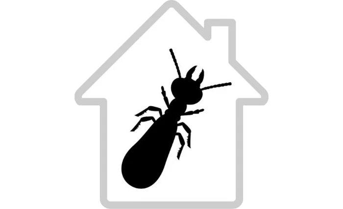 pictogramme représentant une termite dans une maison pour symboliser le diagnostic termites