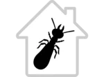 Diagnostic Termites